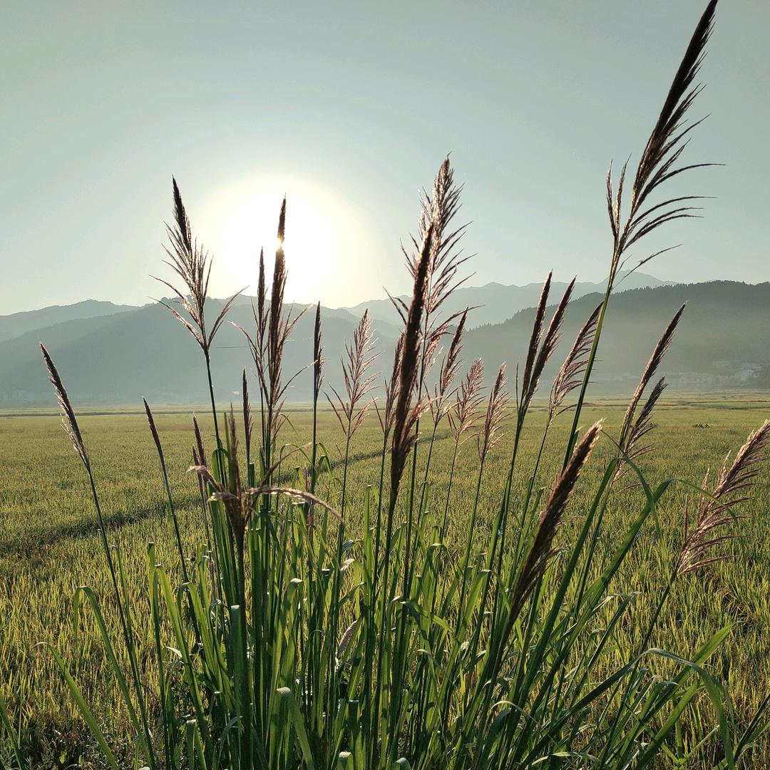 🥀⃟错把᭄敷衍ꦻ当承诺ꦿᭁ