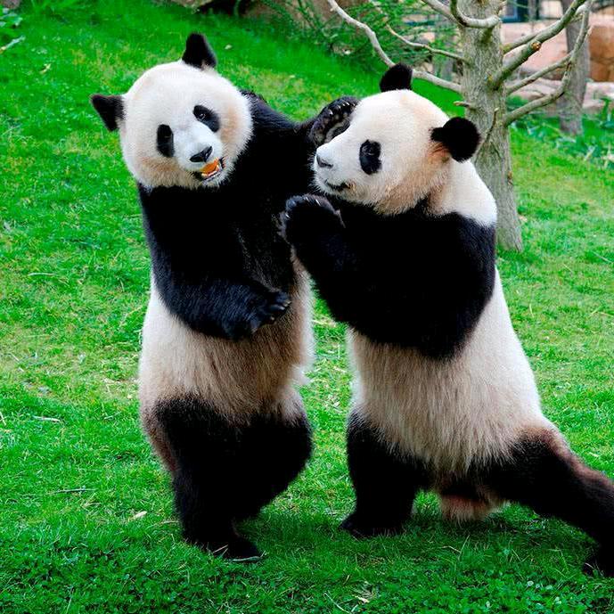 顺心