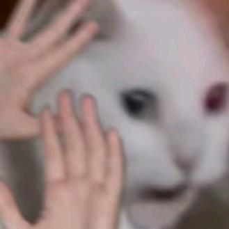 乱花渐欲迷人眼