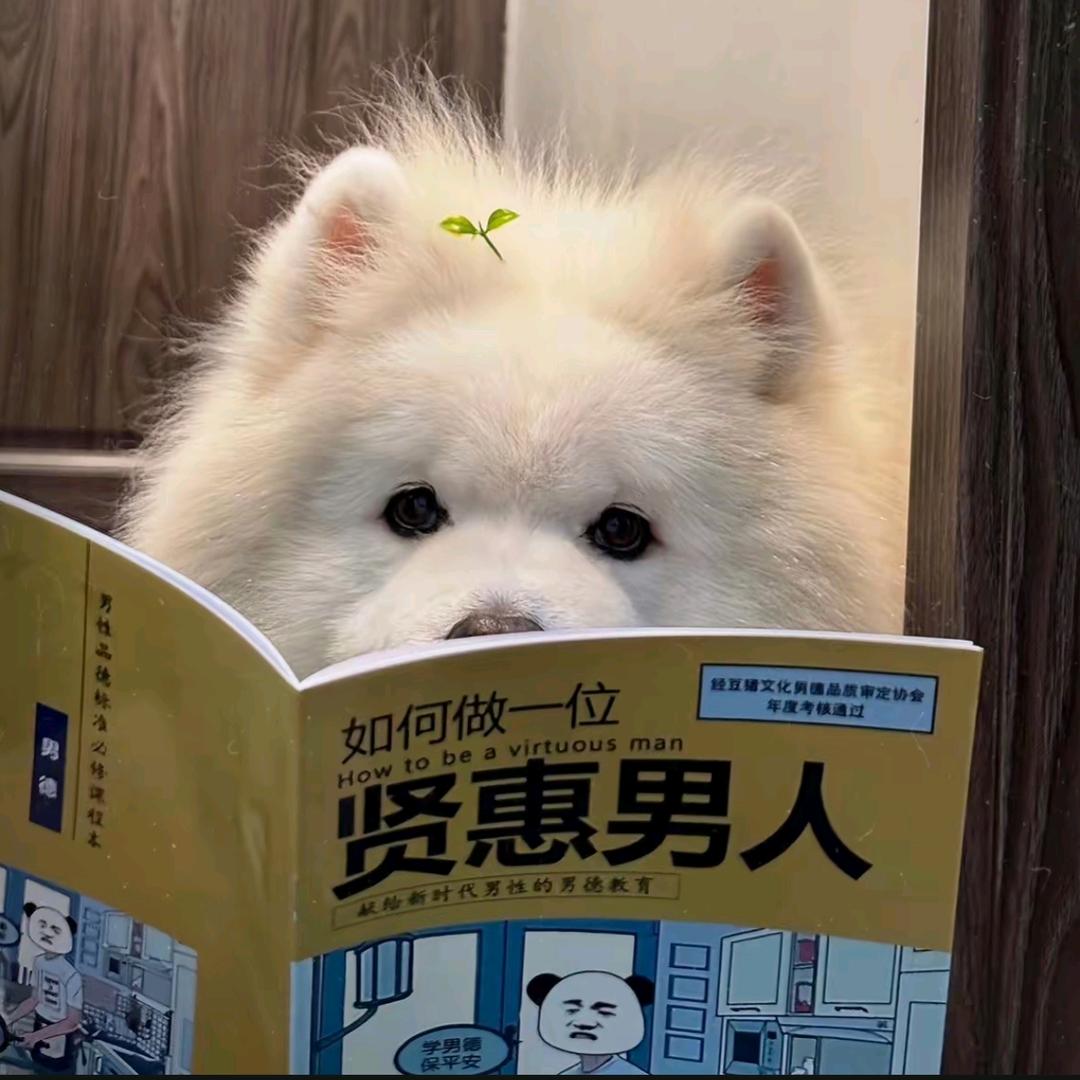 叶子菜