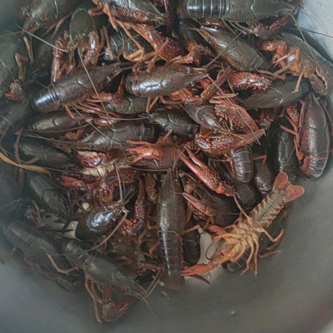 春夏秋冬，老农民，