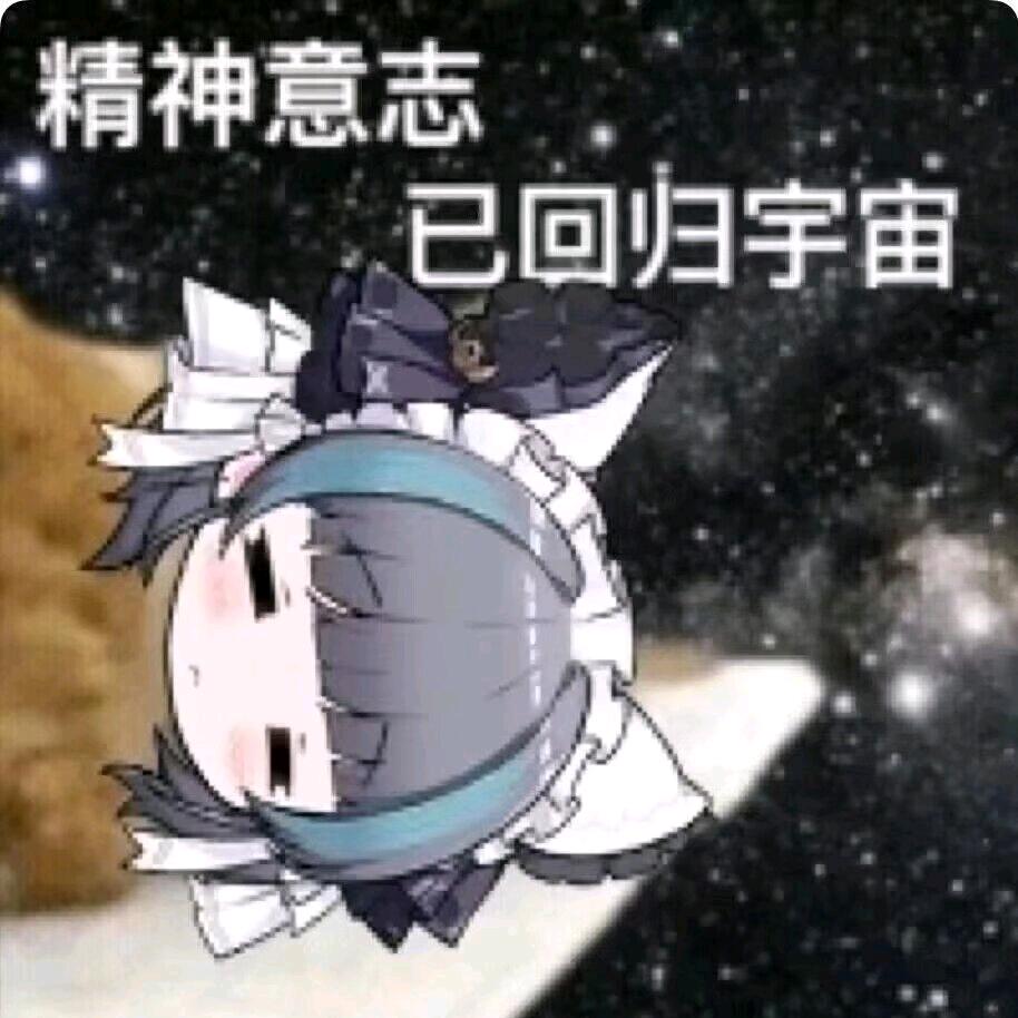 雪雪日记