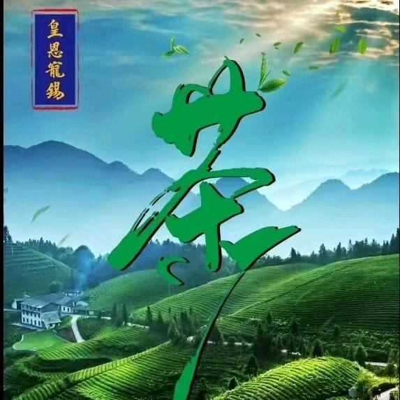 .王凯