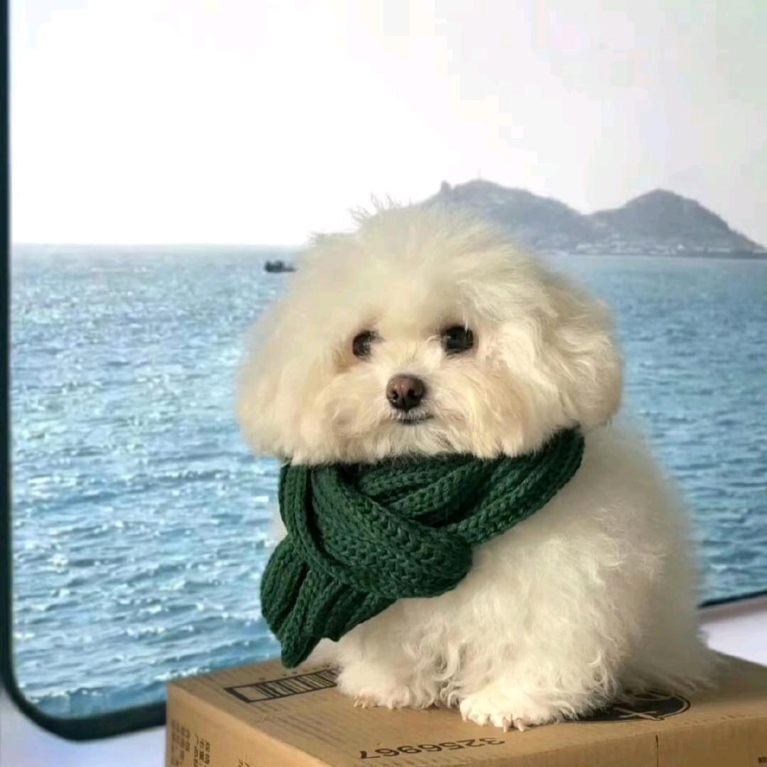 沅一一