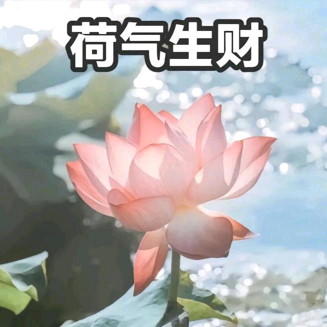 鲜花盛开