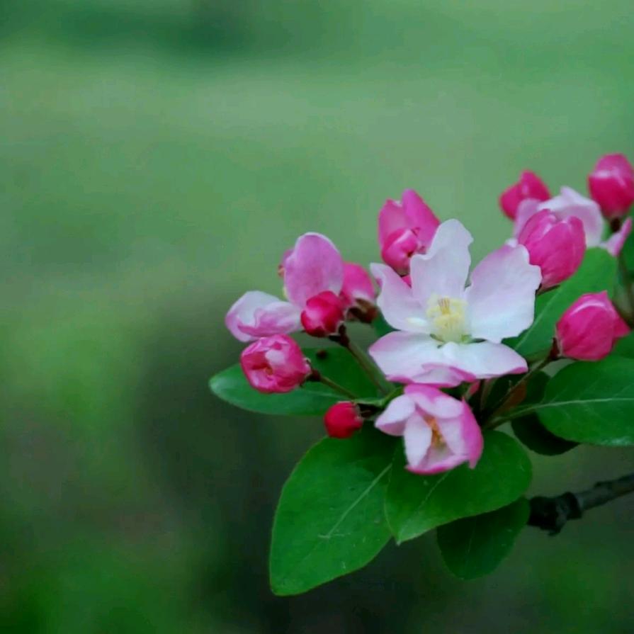 菏泽被投毒女研究生