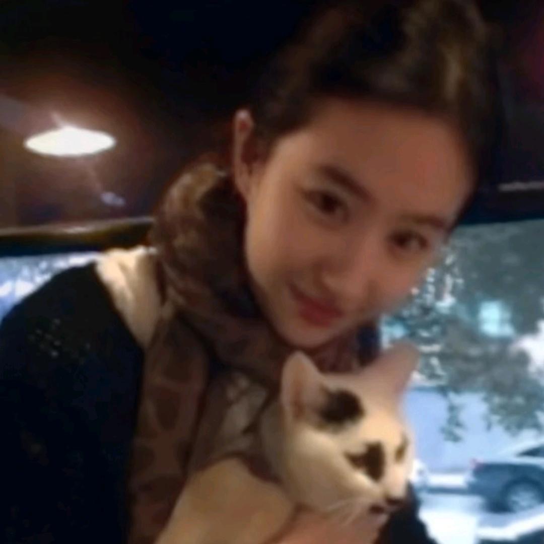 西交附第一抽象