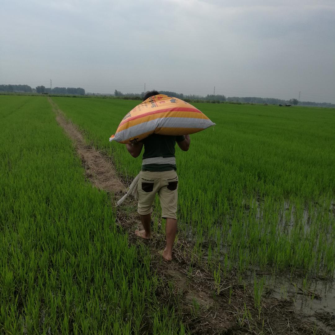 🌾种田人斌哥🌾