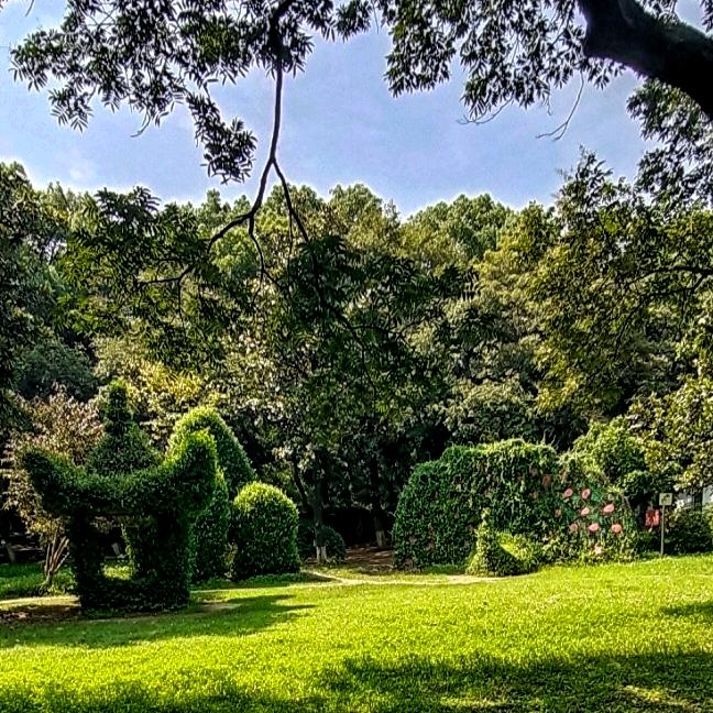 素颜(首播5月13日晚上22:20)