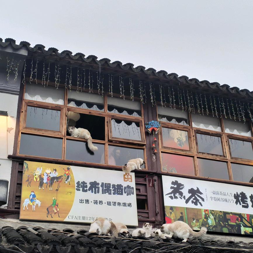 我是丹丹