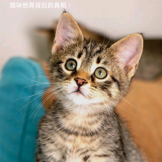 吉祥美发