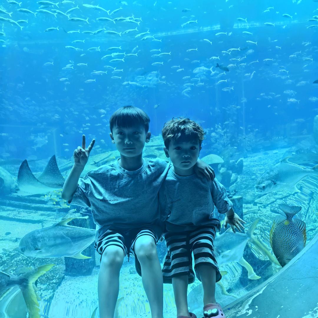 姓了个王     🤔