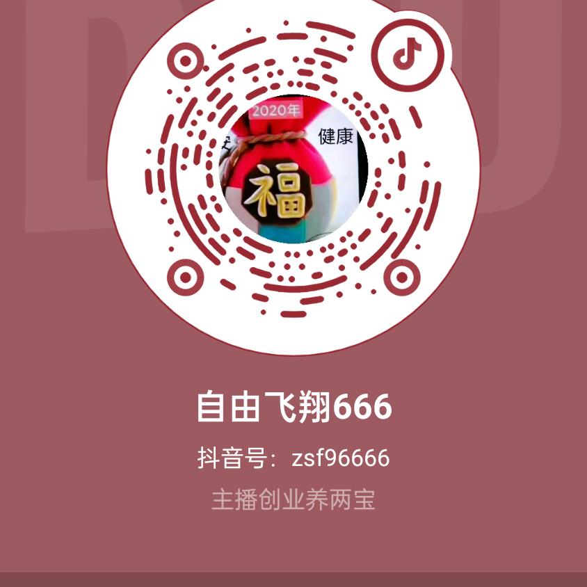 自由飞翔666