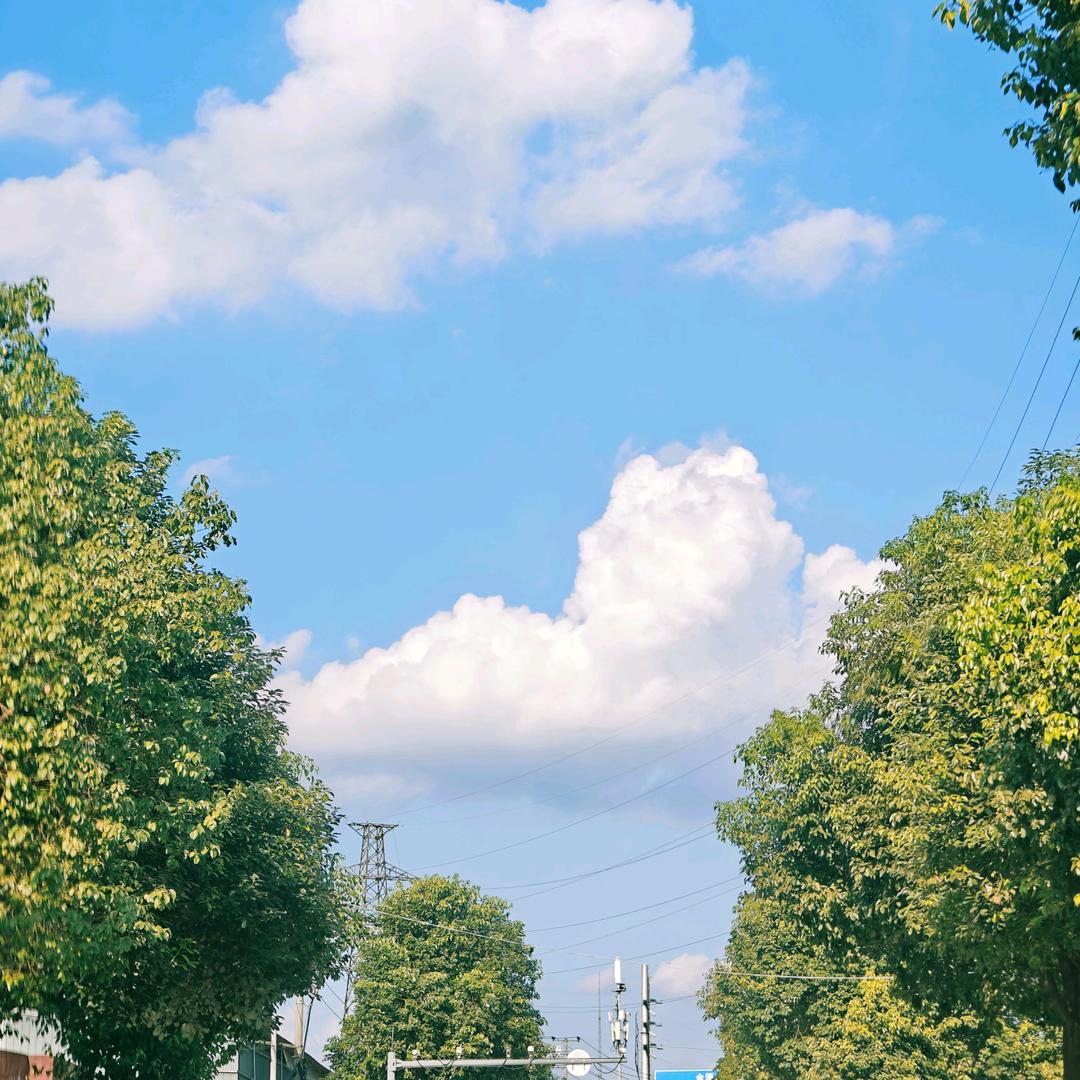 夏天