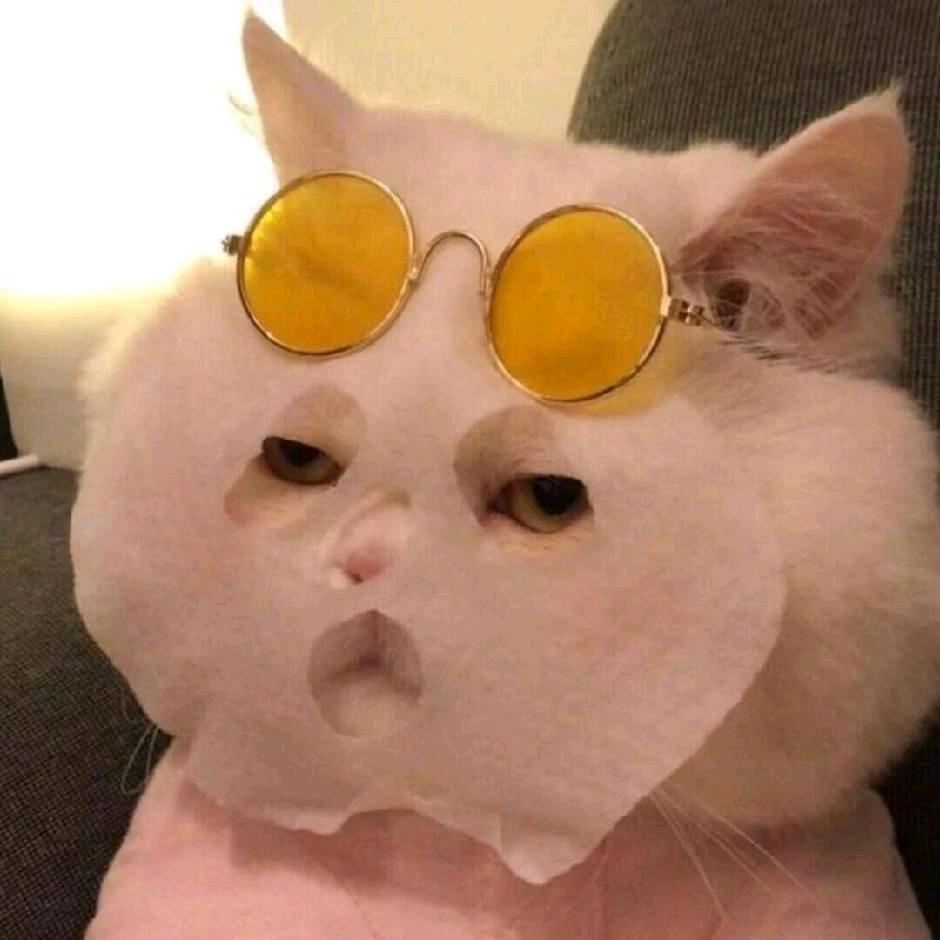 橙嘻嘻-