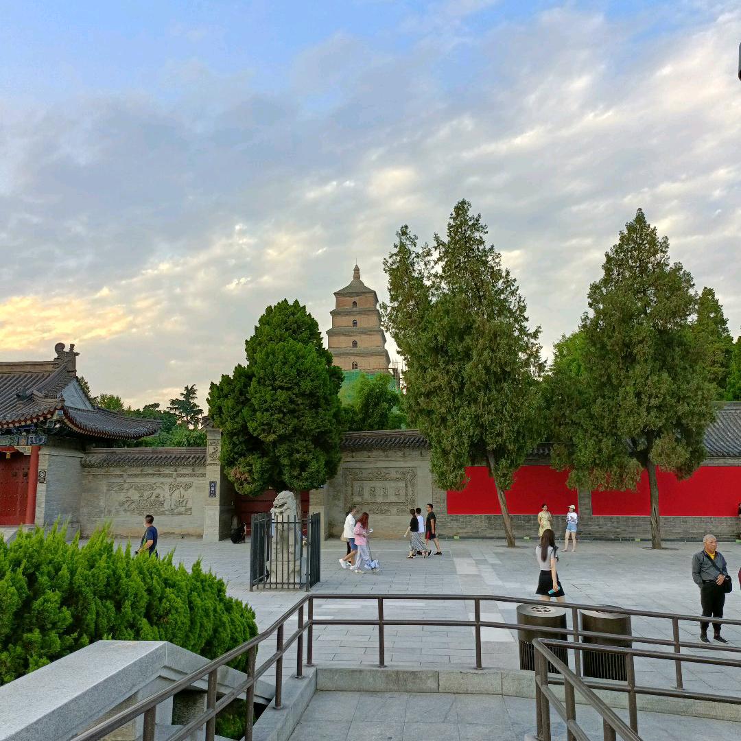 吴庆310