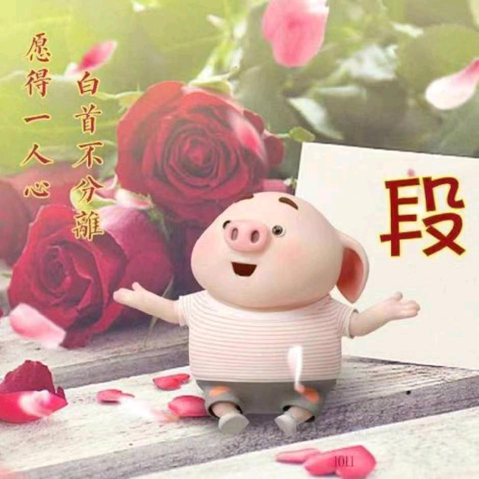 💞丽妹℘࿐ᩚ丽妹℘࿐ᩚ