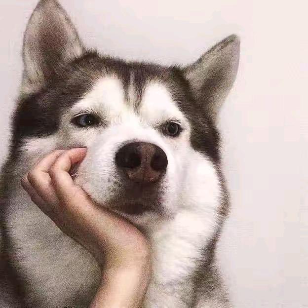 让❤ 归零