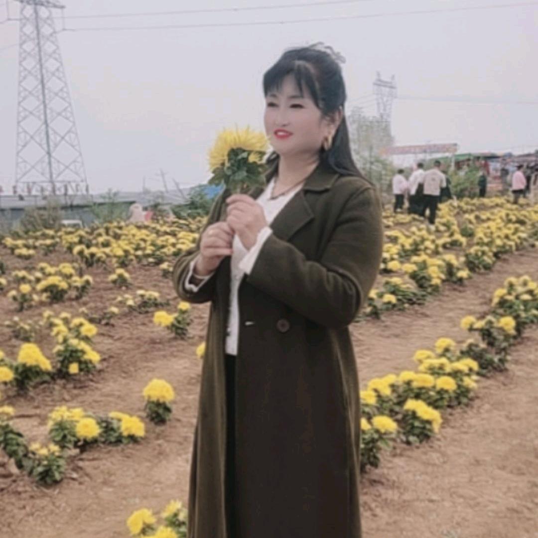杨姐