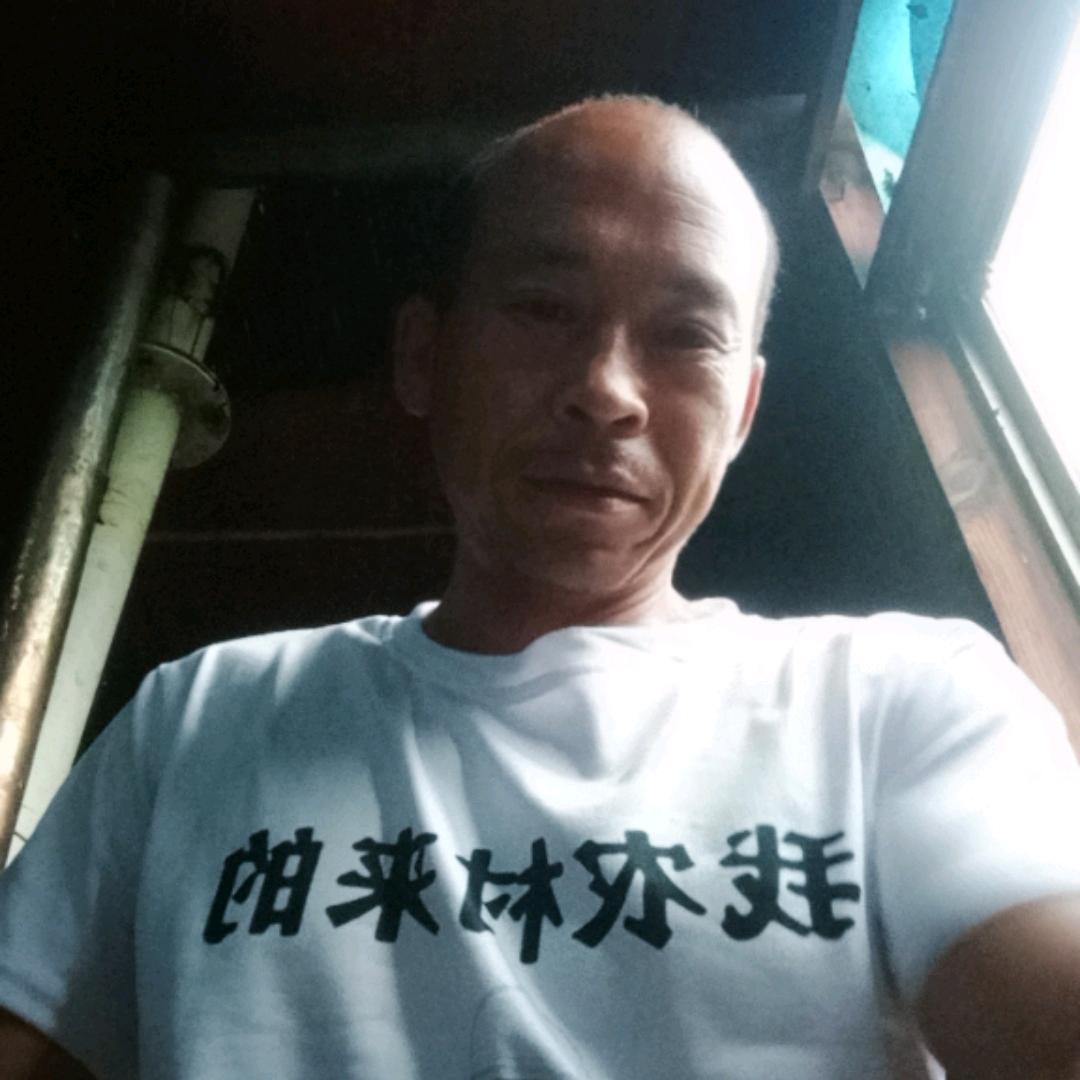 八方发财？马？