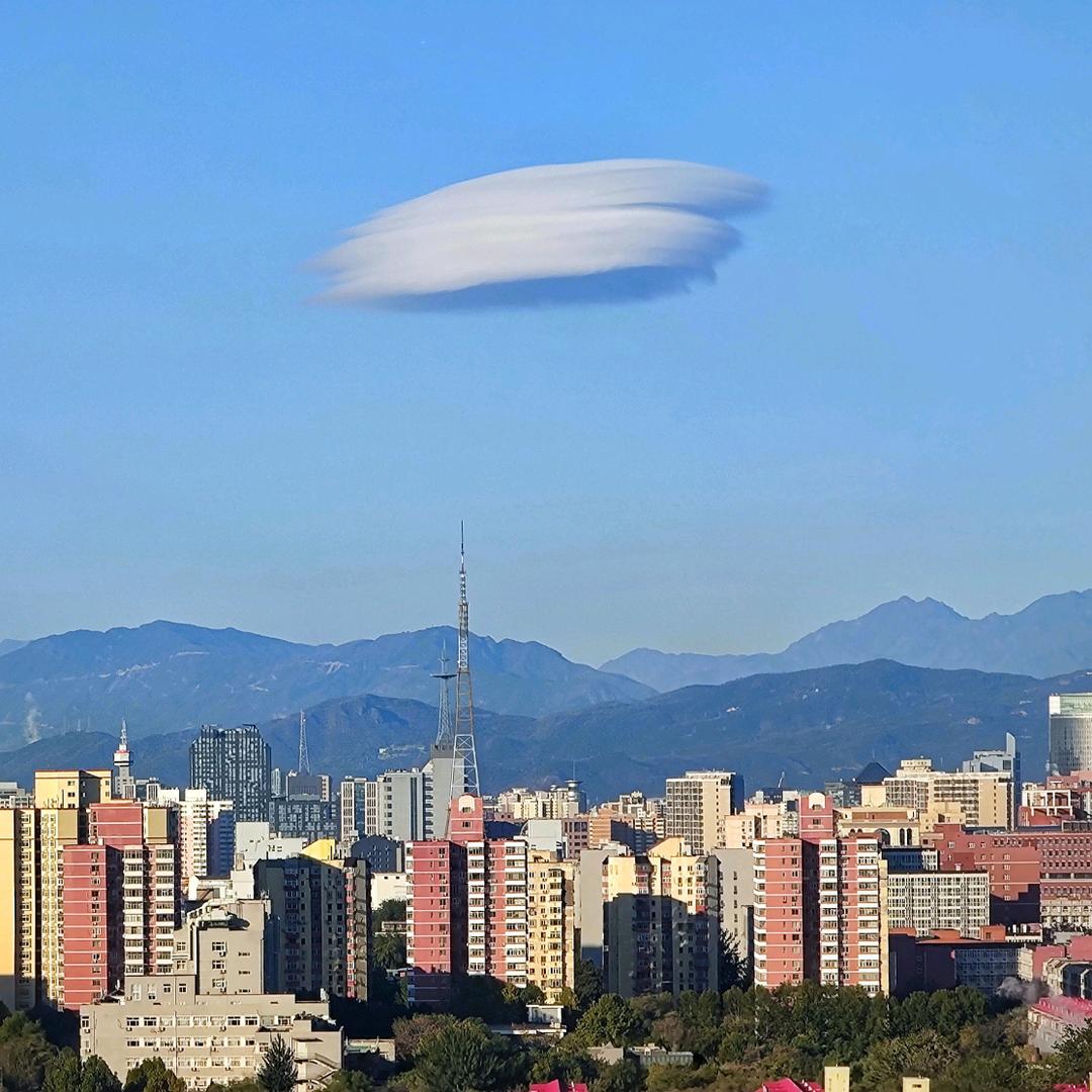 饺子皮儿