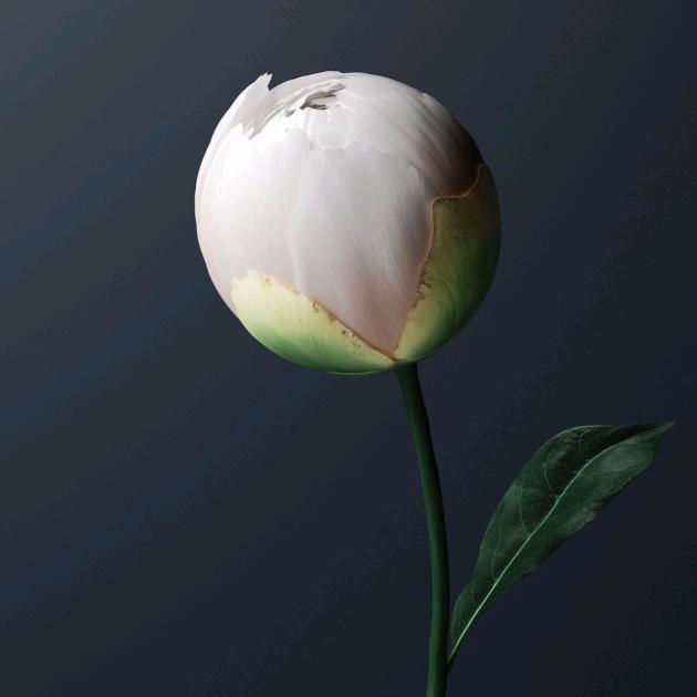 旧时光