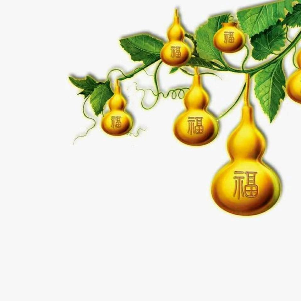 金闪闪