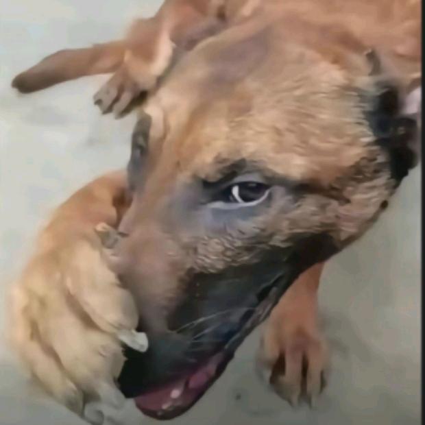 我劝你好好活着