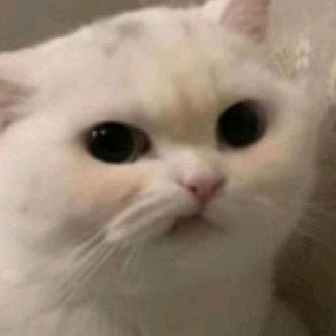 长安老师编程微课堂