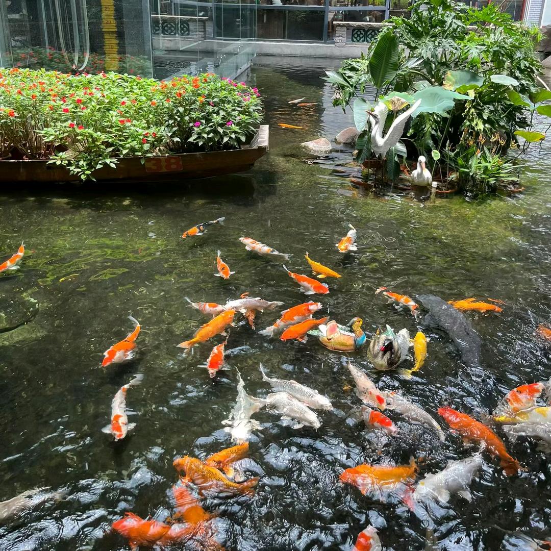 一路生花。