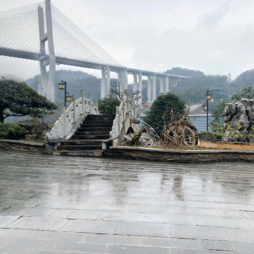 避林观之