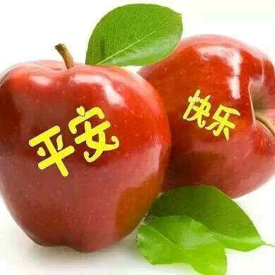 兰子