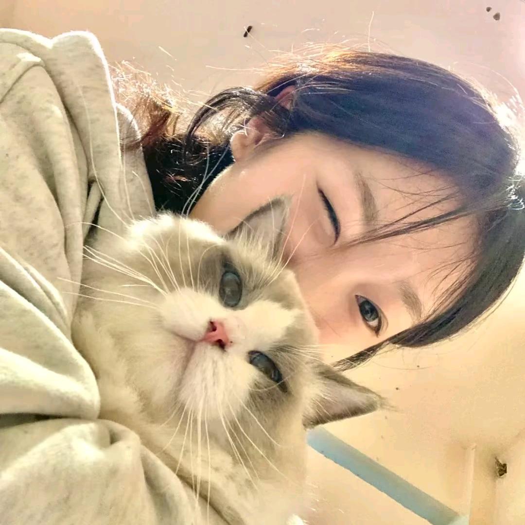 鑫文盛航～kk