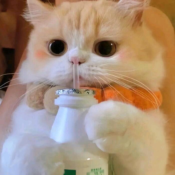 嘘