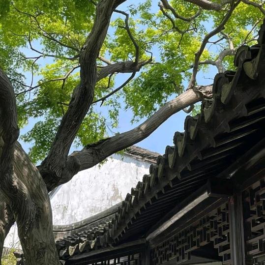 道林师兄（户型优化）