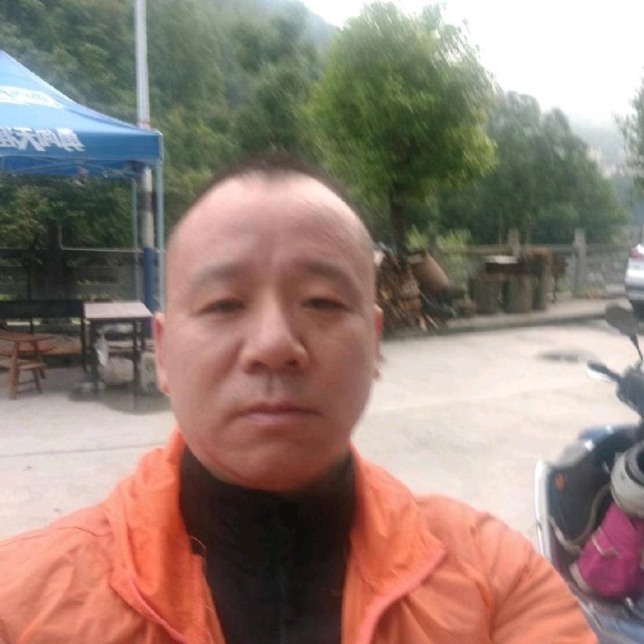 无惧风雨，金州金牛