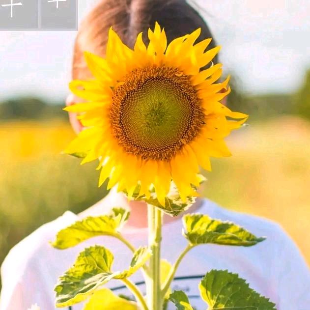 沉默是金。