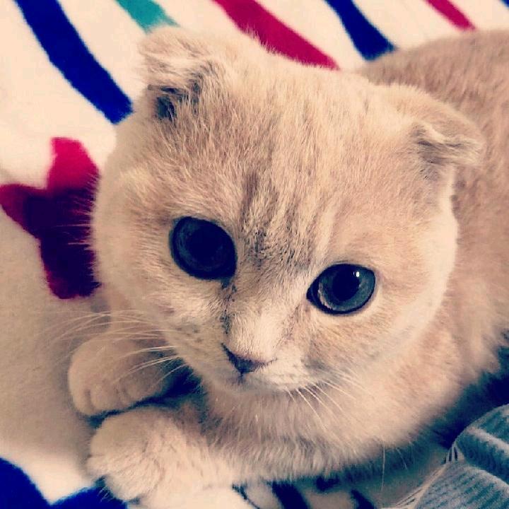 怀抱赤子之心（退网版）