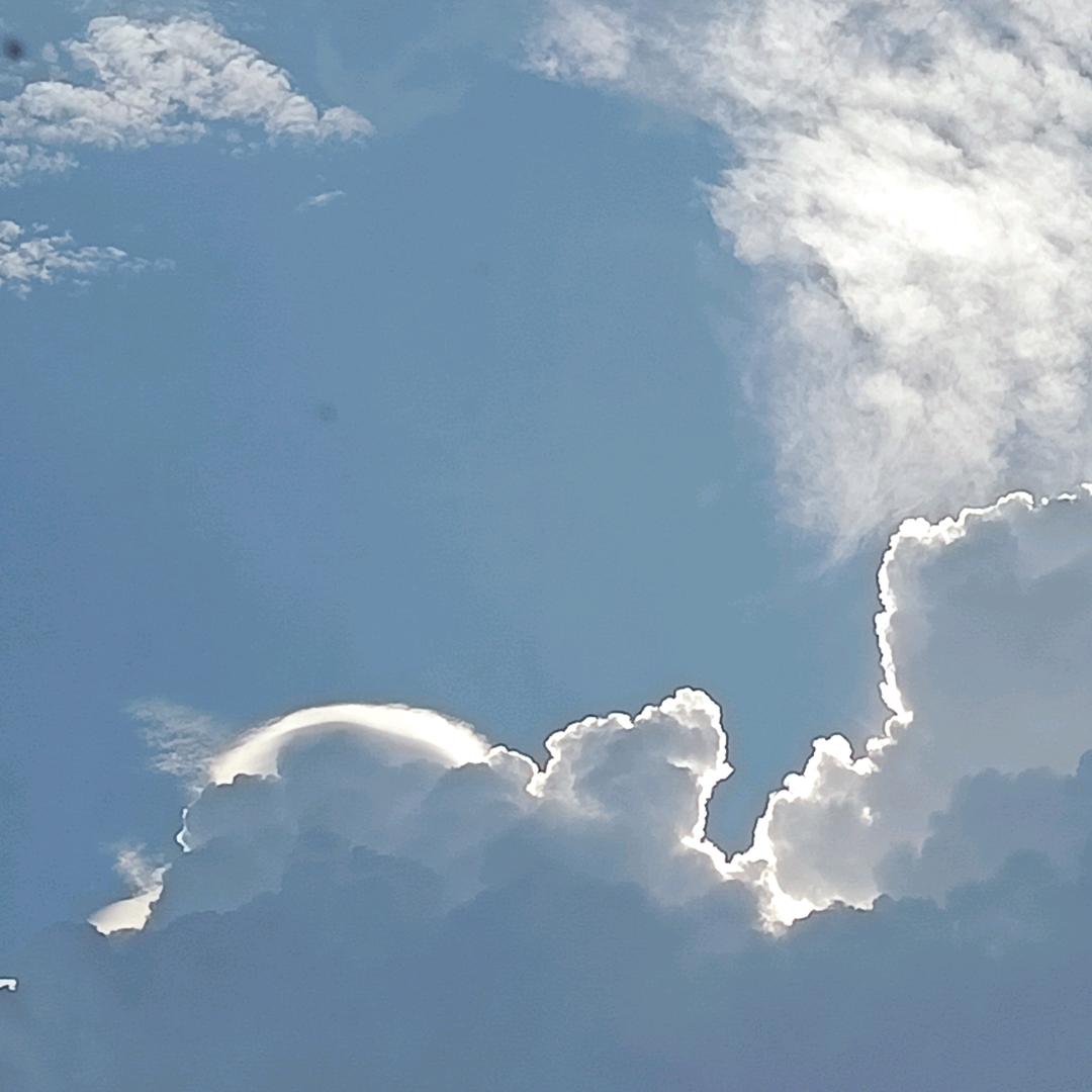 Zhdw