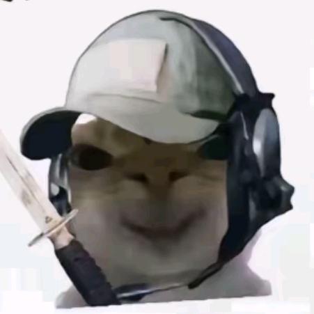 QAQ哈哈哈QAQ