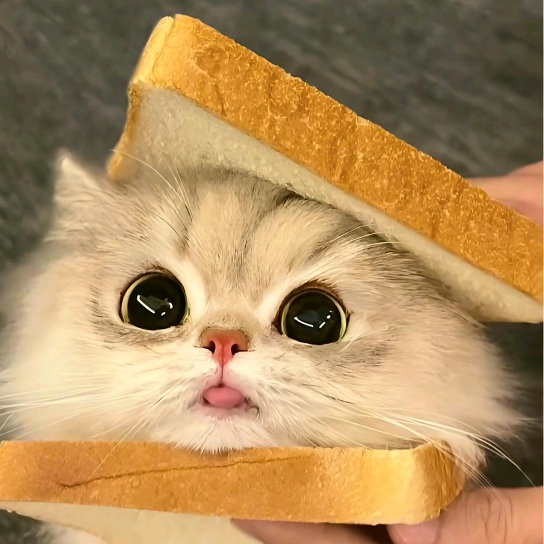小让