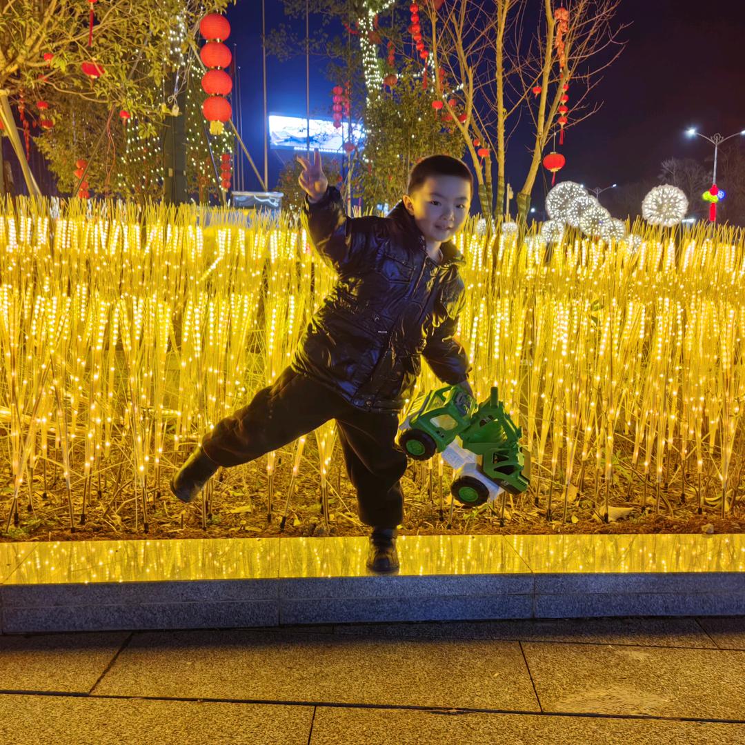 丽
