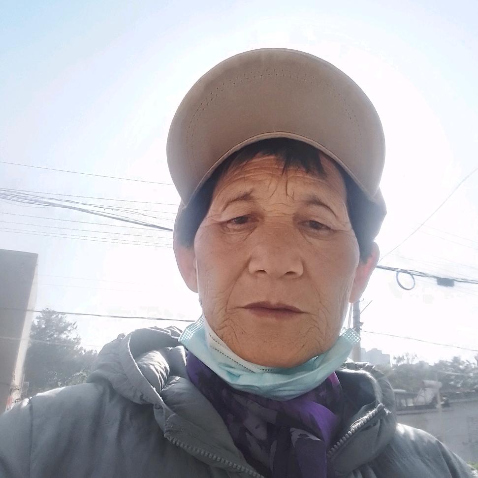 柿柿如意