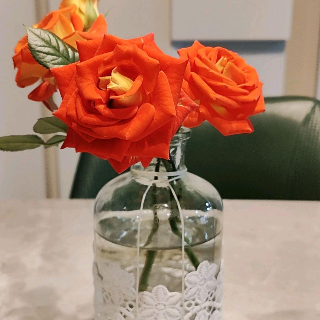 黄柏芳
