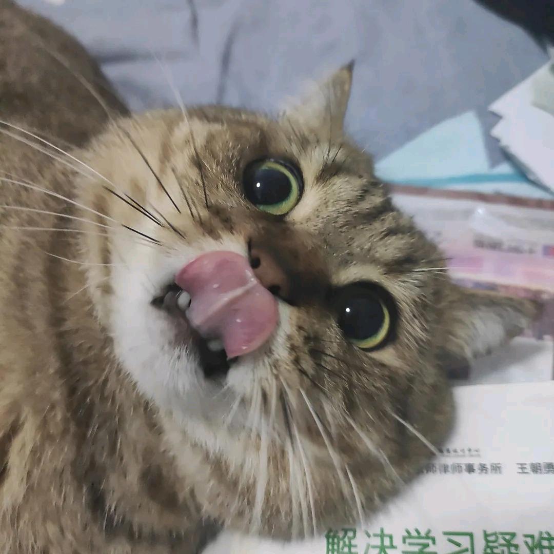 等明凯
