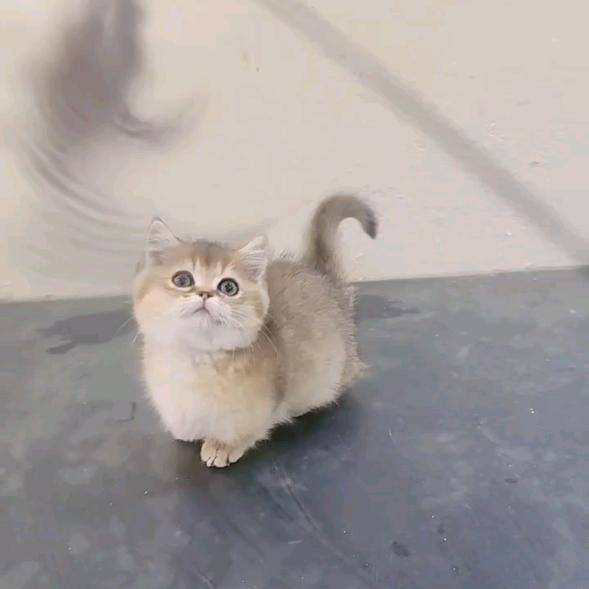 落日晚风的尽头你有的是自由