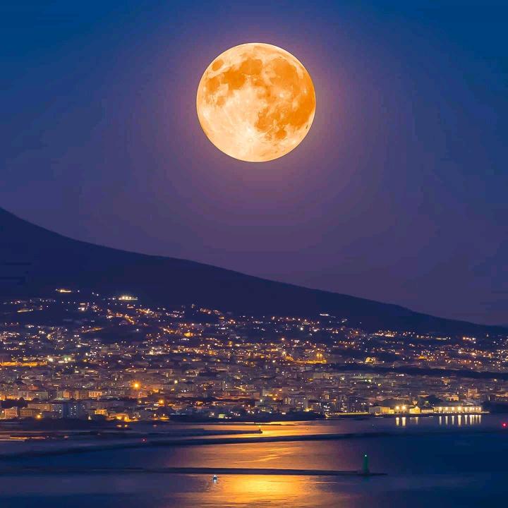 彼岸