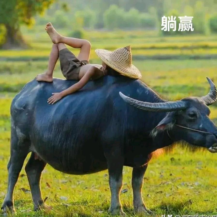 旺波
