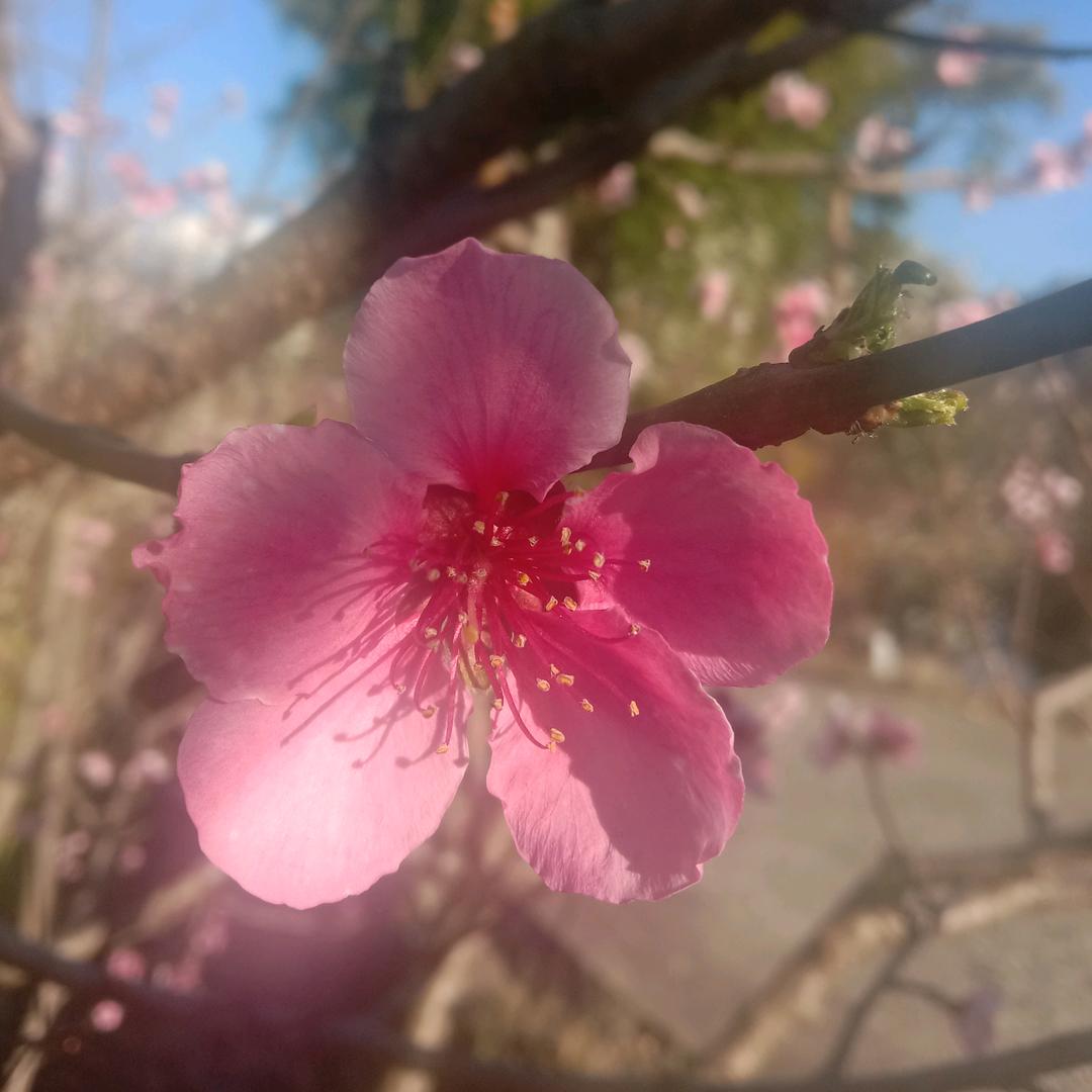 《你永远不懂我》