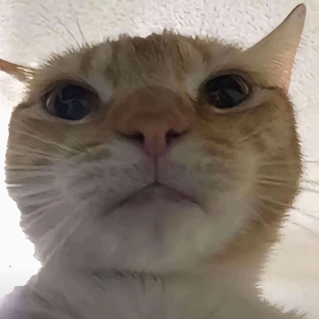 你的何驴子（战驴跑刀）